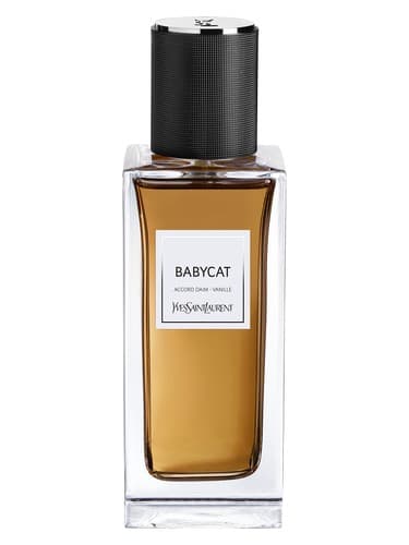 YSL BABYCAT