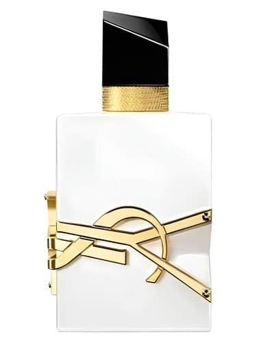 YSL L EAU NUE