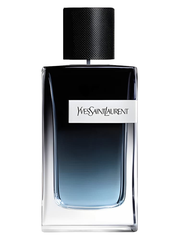 YSL Y EDP